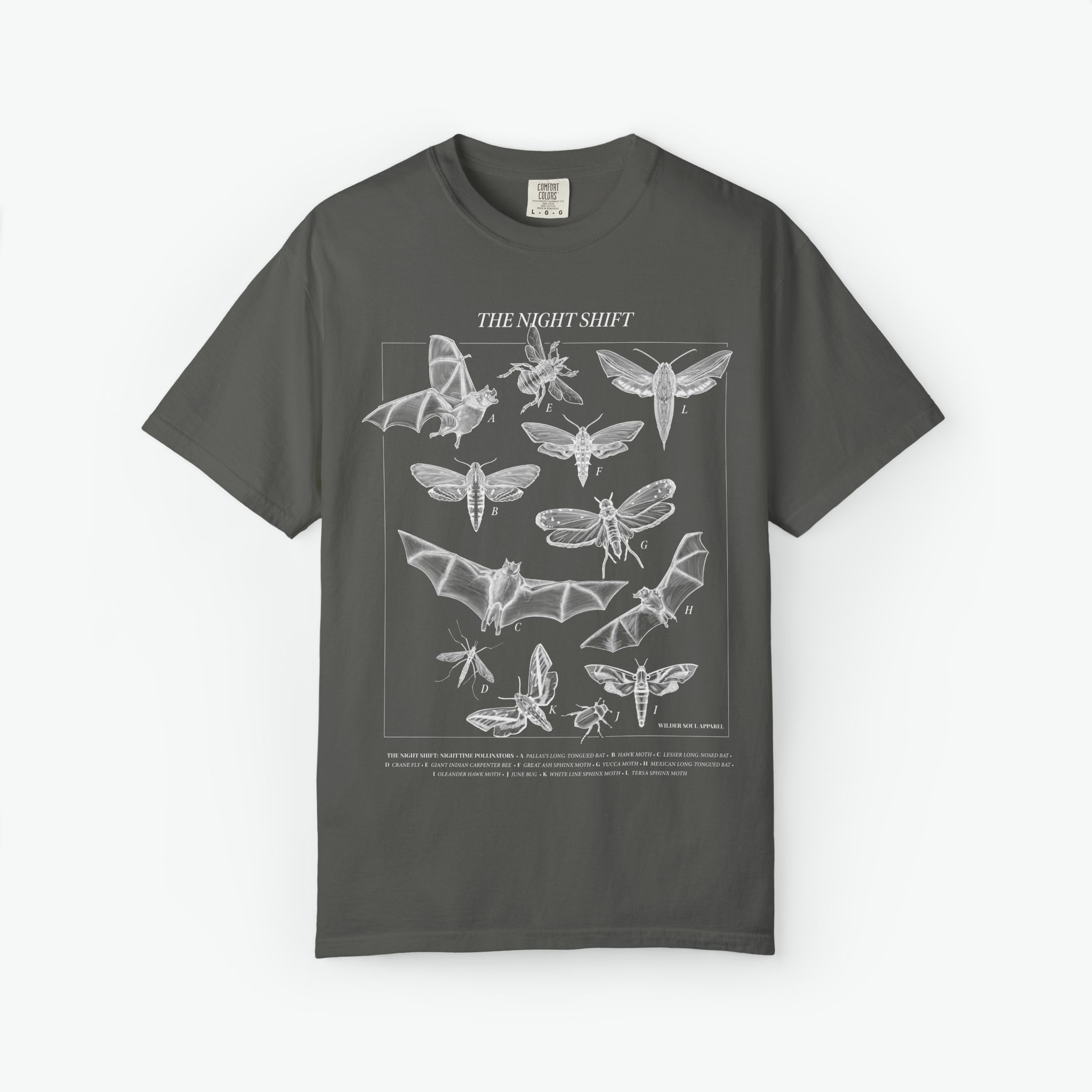 Night Pollinators T-Shirt, Moth Shirt, Insect Tee, Entomology Shirt, Field Guide Style Shirt, Dark Academia Nature Tee, The Night Shift - Image 2