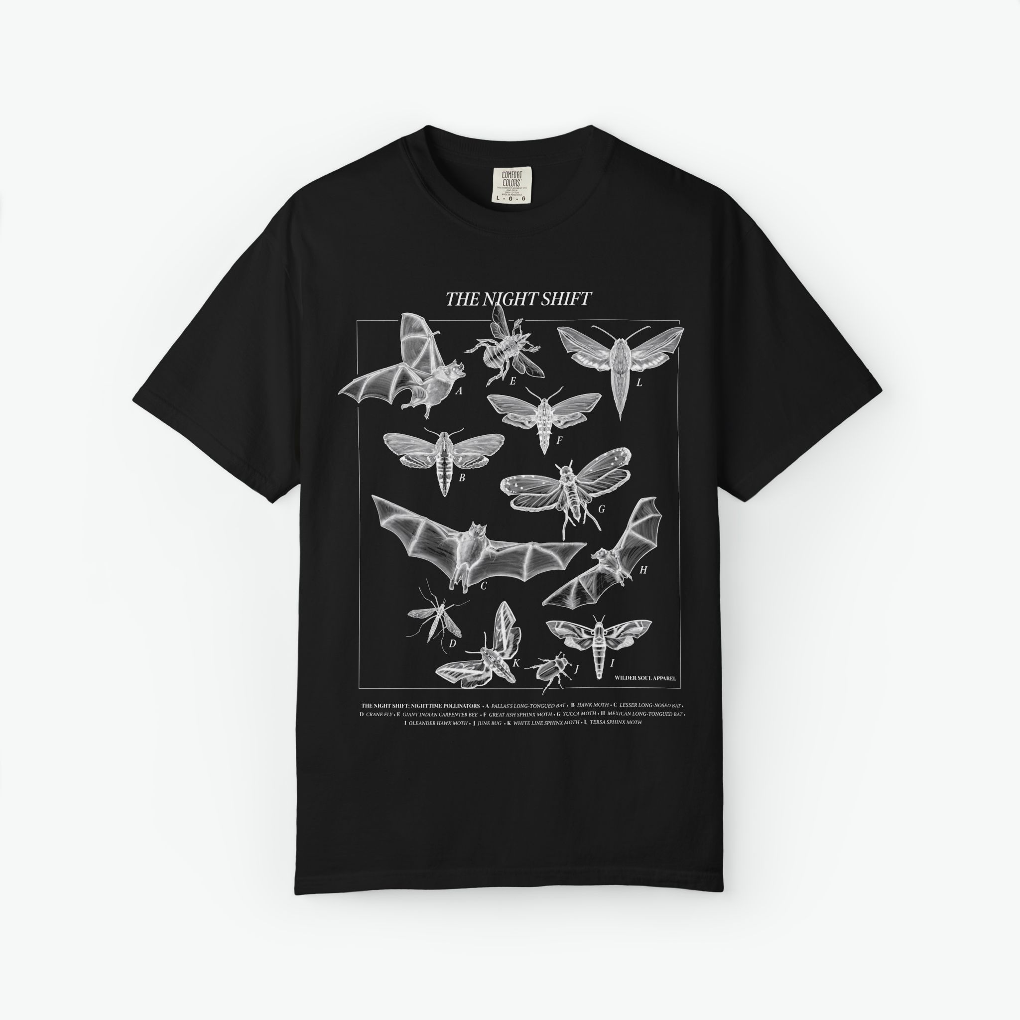 Night Pollinators T-Shirt, Moth Shirt, Insect Tee, Entomology Shirt, Field Guide Style Shirt, Dark Academia Nature Tee, The Night Shift - Image 8