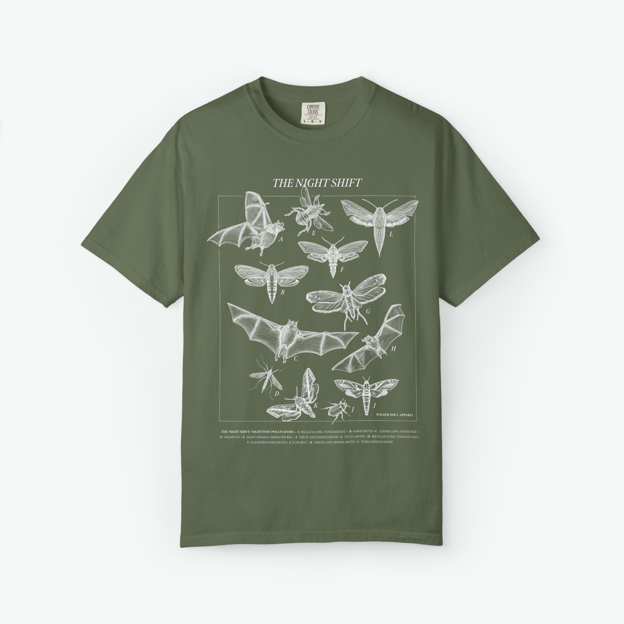 Night Pollinators T-Shirt, Moth Shirt, Insect Tee, Entomology Shirt, Field Guide Style Shirt, Dark Academia Nature Tee, The Night Shift - Image 5